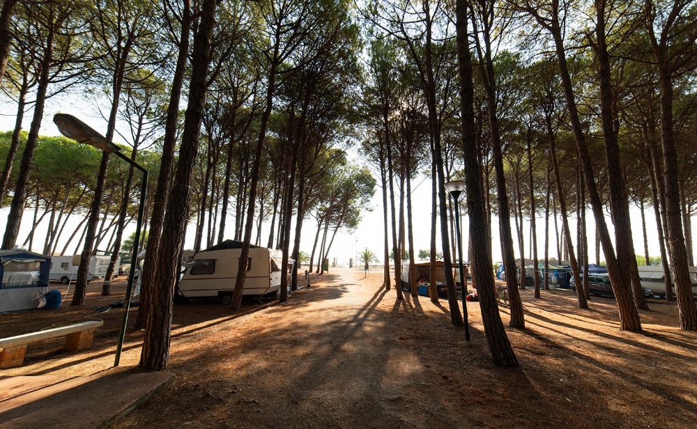 Camping Thurium Villaggio